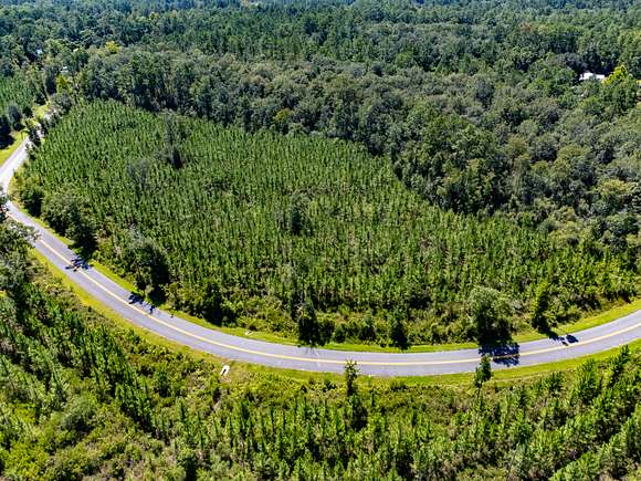 8.01 Acres of Residential Land for Sale in Hosford, Florida