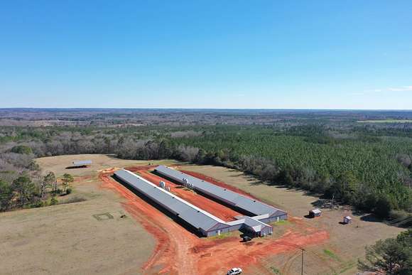 18 Acres of Land for Sale in Clayton, Alabama