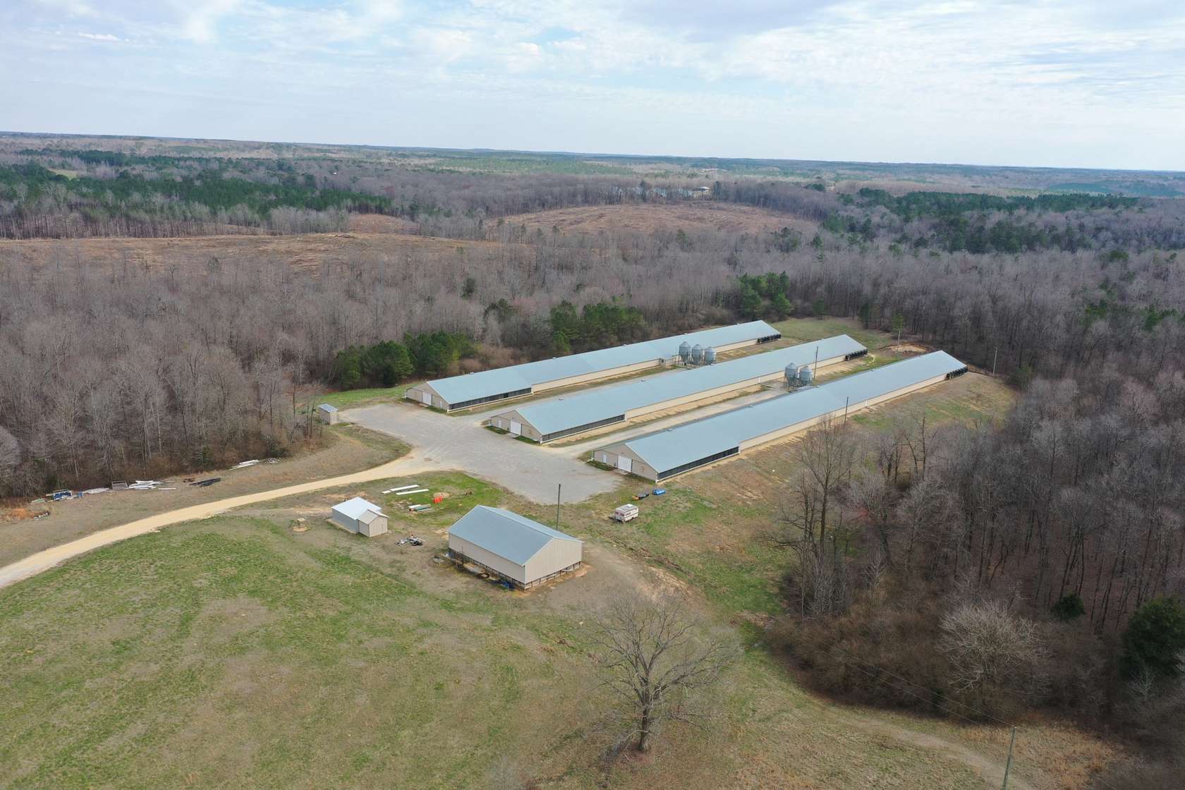 40 Acres of Agricultural Land for Sale in Hodges, Alabama