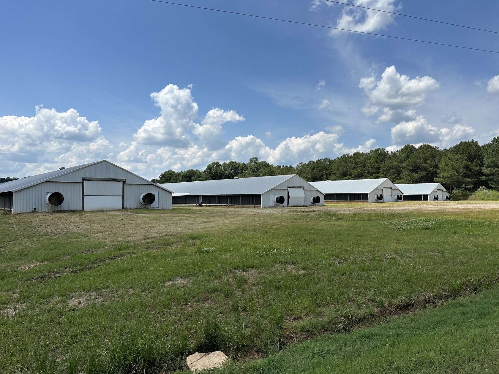 18 Acres of Agricultural Land for Sale in Rutledge, Alabama