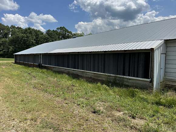 18 Acres of Agricultural Land for Sale in Rutledge, Alabama