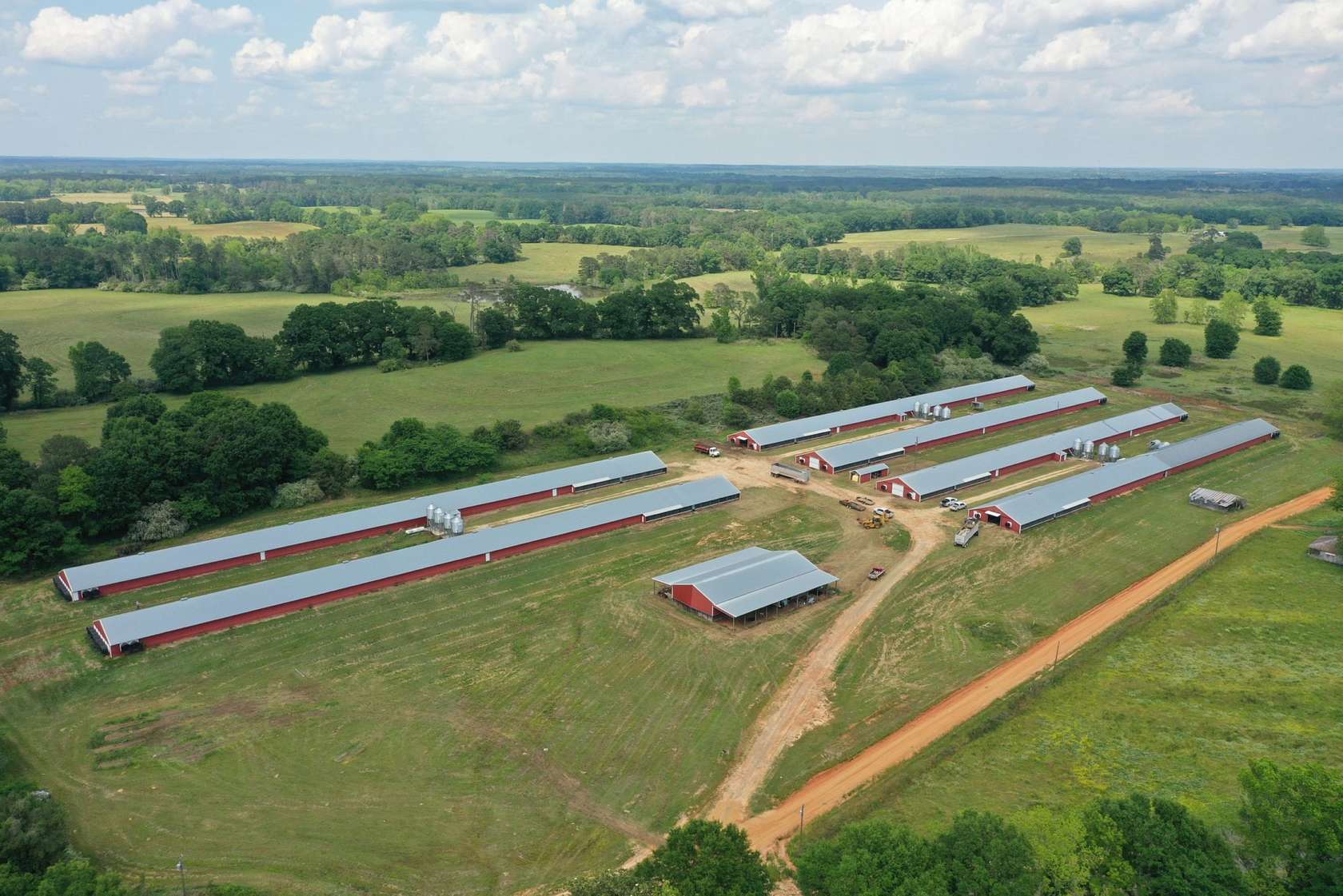 66 Acres of Agricultural Land for Sale in Rutledge, Alabama