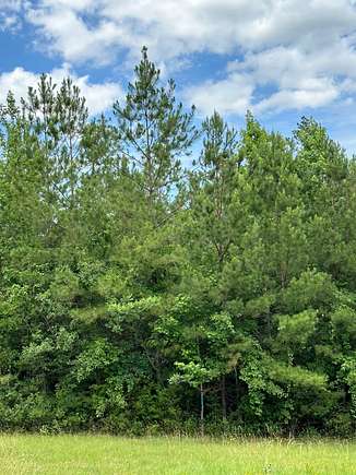 24 Acres of Land for Sale in Brewton, Alabama