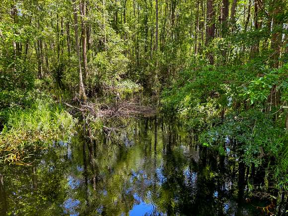 260.81 Acres of Recreational Land for Sale in Greenville, Florida