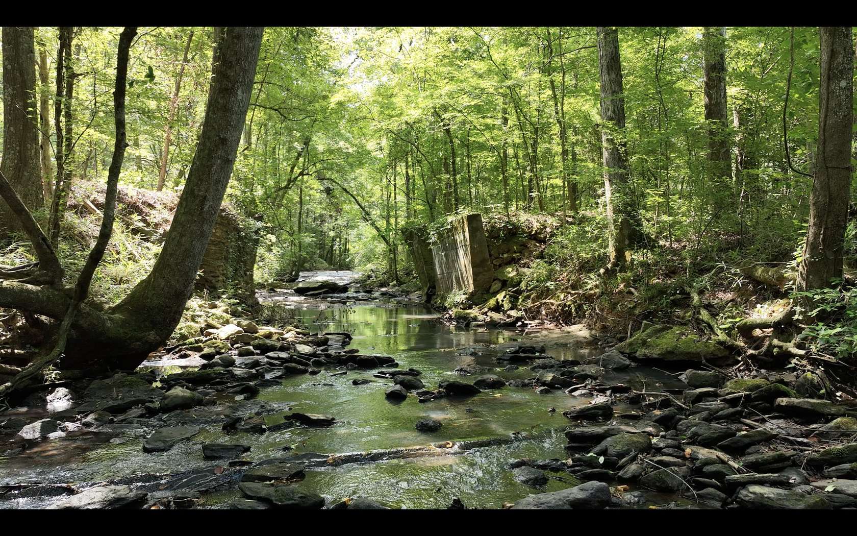 3 Acres of Residential Land for Sale in Auburn, Alabama