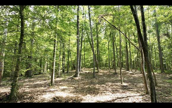 3 Acres of Residential Land for Sale in Auburn, Alabama