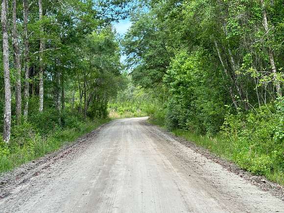 40 Acres of Recreational Land & Farm for Sale in Greenville, Florida