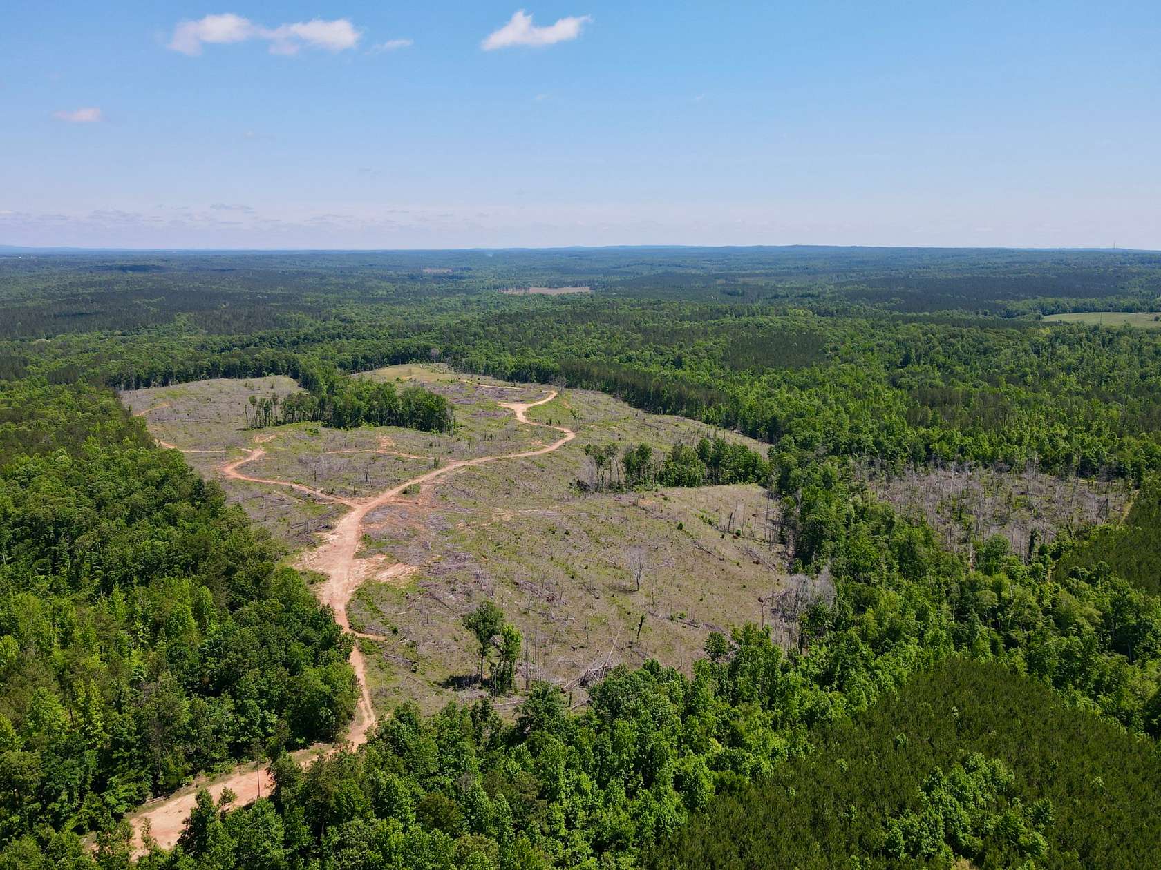 85.55 Acres of Recreational Land for Sale in Wadley, Alabama