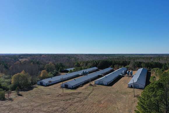 23 Acres of Agricultural Land for Sale in Jasper, Alabama