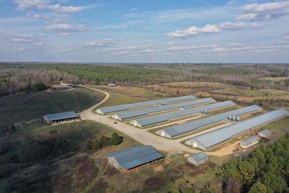 80 Acres of Agricultural Land with Home for Sale in Hodges, Alabama