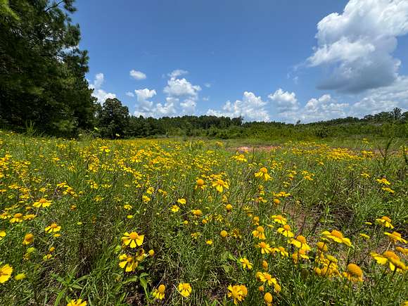 92 Acres of Recreational Land & Farm for Sale in Camp Hill, Alabama