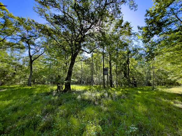 479.59 Acres of Recreational Land for Sale in Mayo, Florida