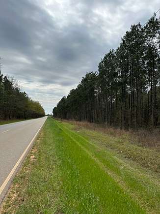 29 Acres of Land for Sale in Atmore, Alabama