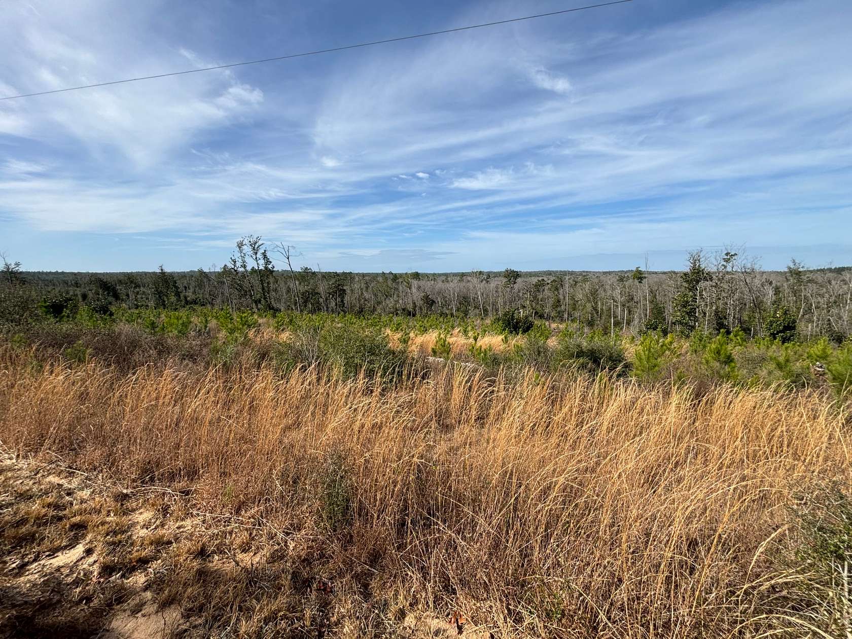 18.3 Acres of Land for Sale in Alford, Florida