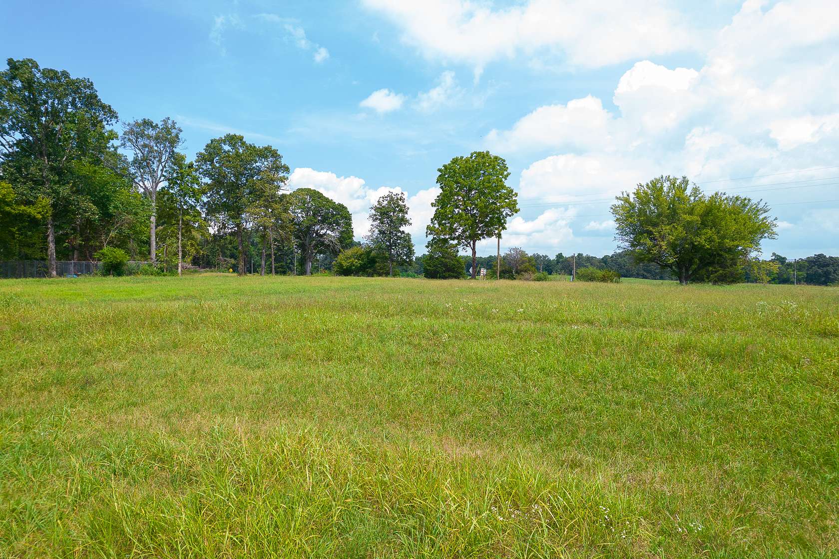 30 Acres of Agricultural Land for Sale in Trenton, Georgia