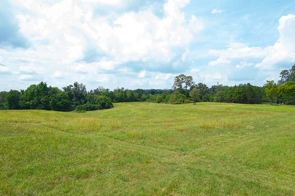 30 Acres of Agricultural Land for Sale in Trenton, Georgia