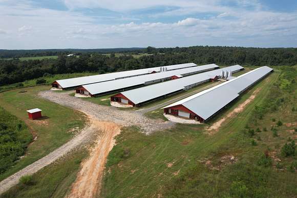 80 Acres of Agricultural Land for Sale in Fort Valley, Georgia