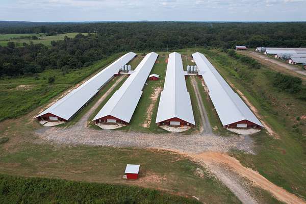 80 Acres of Agricultural Land for Sale in Fort Valley, Georgia