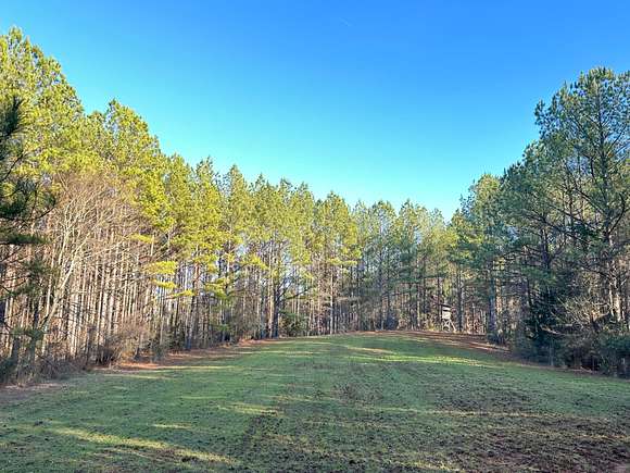 565 Acres of Recreational Land for Sale in Valley Grande, Alabama