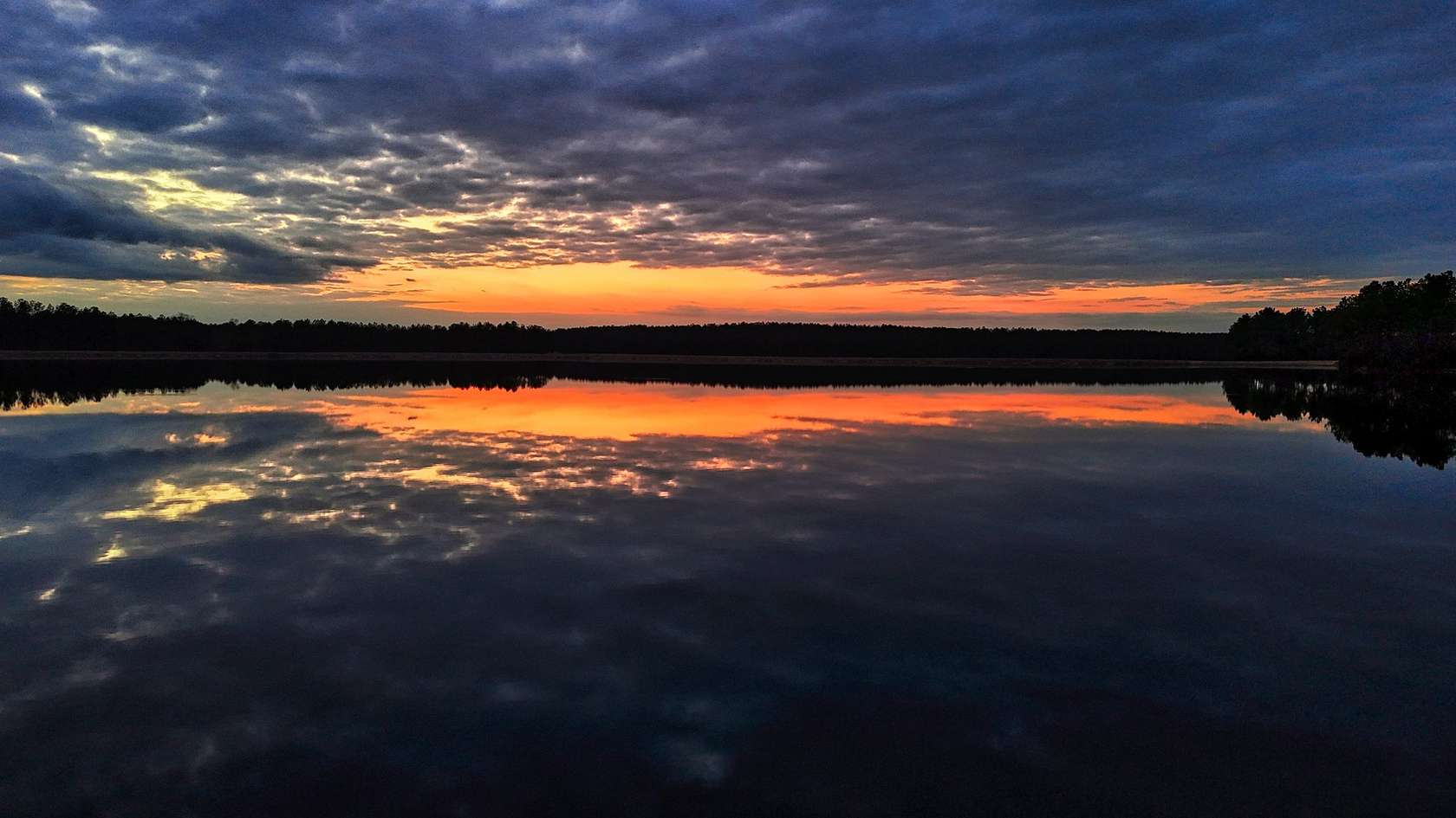 1,292 Acres of Land for Sale in Ellisville, Mississippi