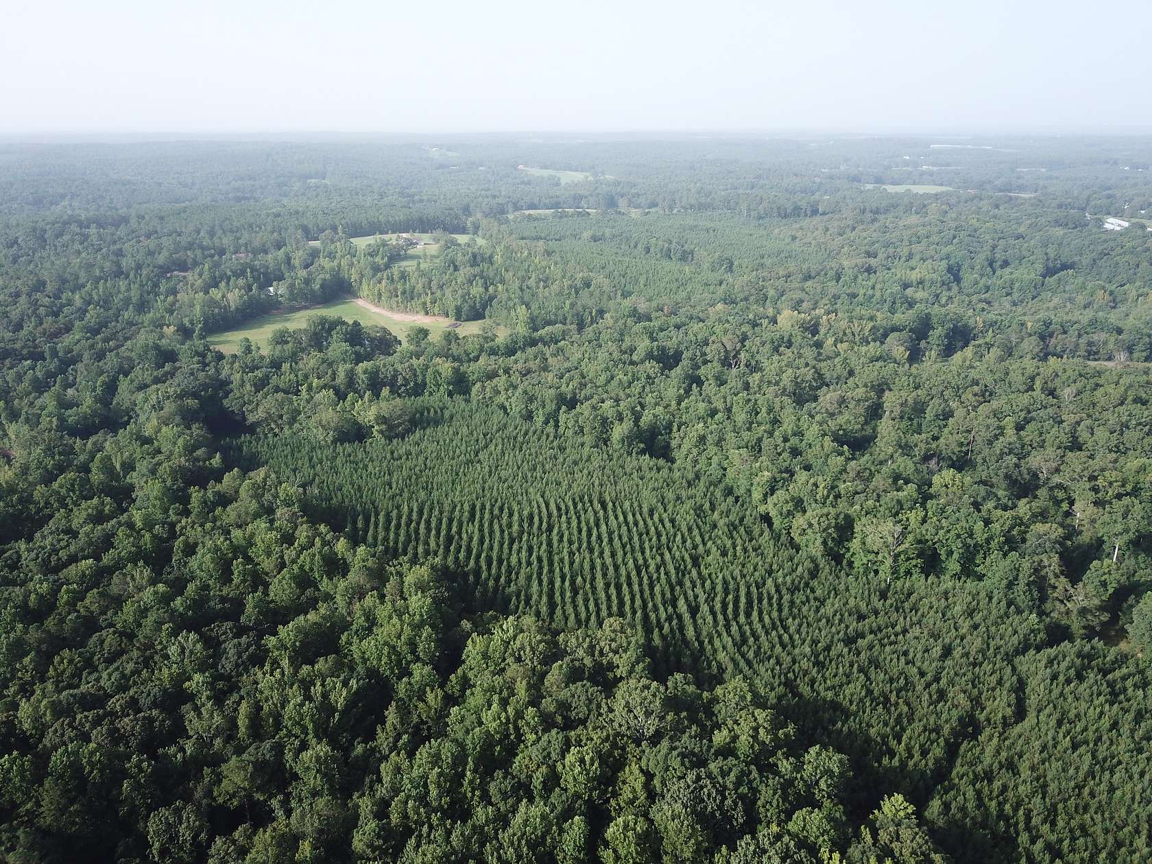 60.21 Acres of Recreational Land for Sale in Roopville, Georgia