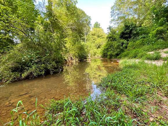 60.2 Acres of Recreational Land for Sale in Roopville, Georgia