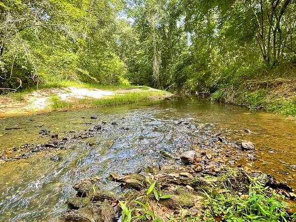 74.2 Acres of Recreational Land for Sale in Roopville, Georgia