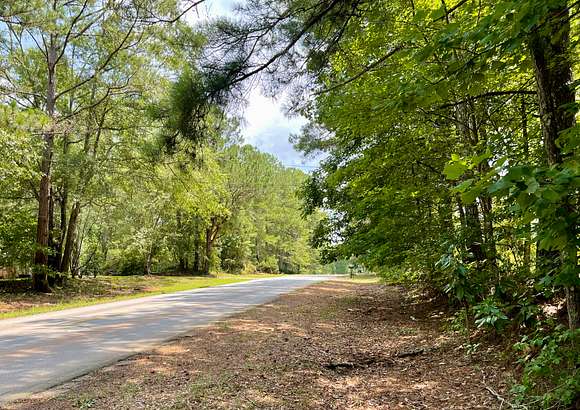 24.76 Acres of Land for Sale in Newnan, Georgia