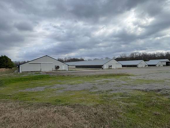 52 Acres of Agricultural Land with Home for Sale in Dresden, Tennessee