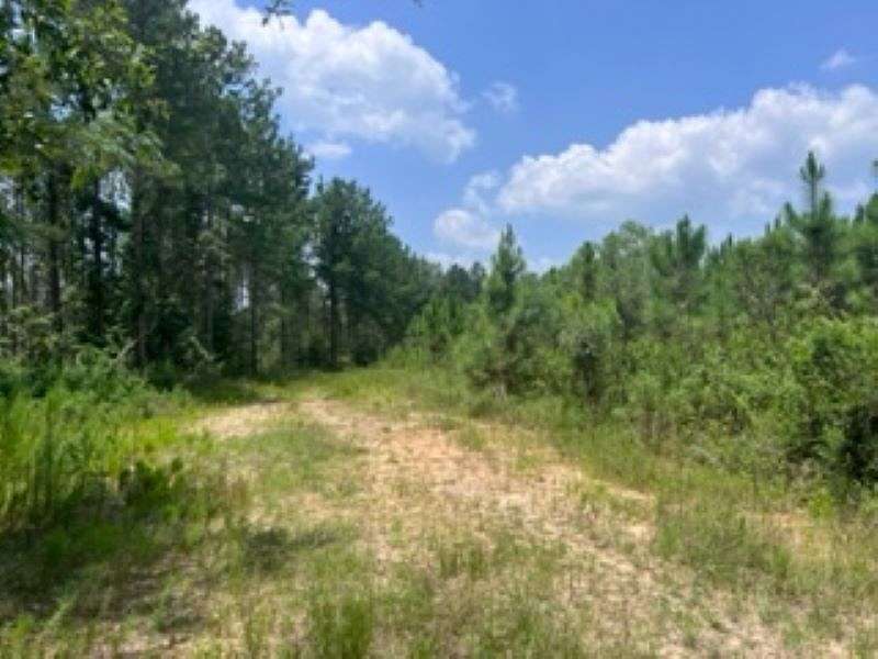 157 Acres of Recreational Land for Sale in Blue Springs, Alabama