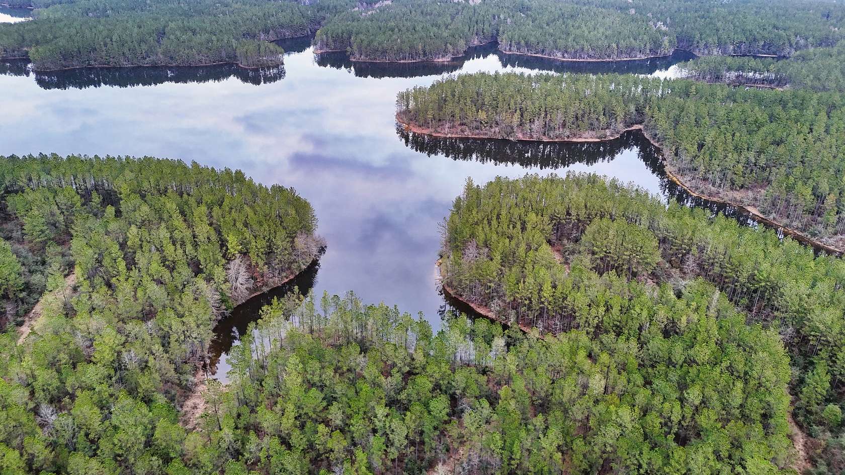 386 Acres of Land for Sale in Ellisville, Mississippi