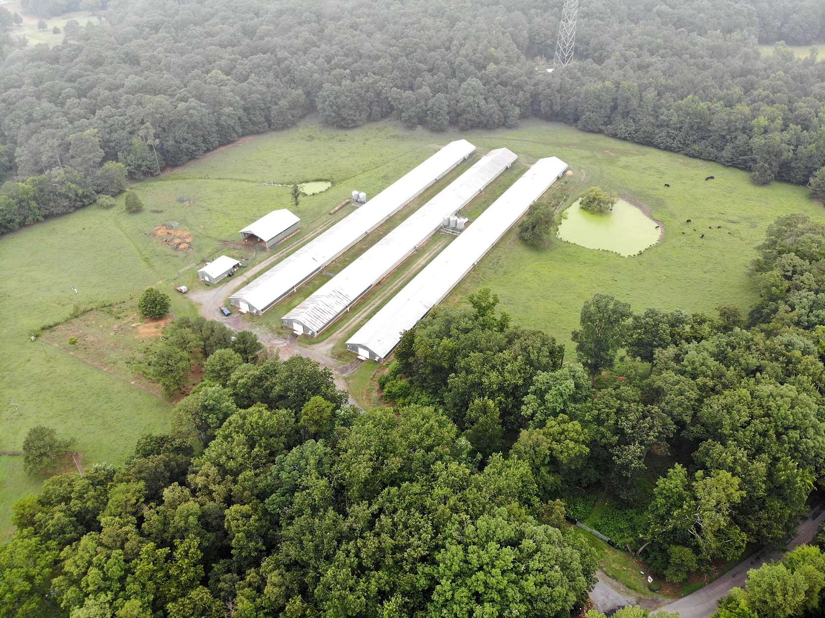 12 Acres of Agricultural Land for Sale in Adairsville, Georgia