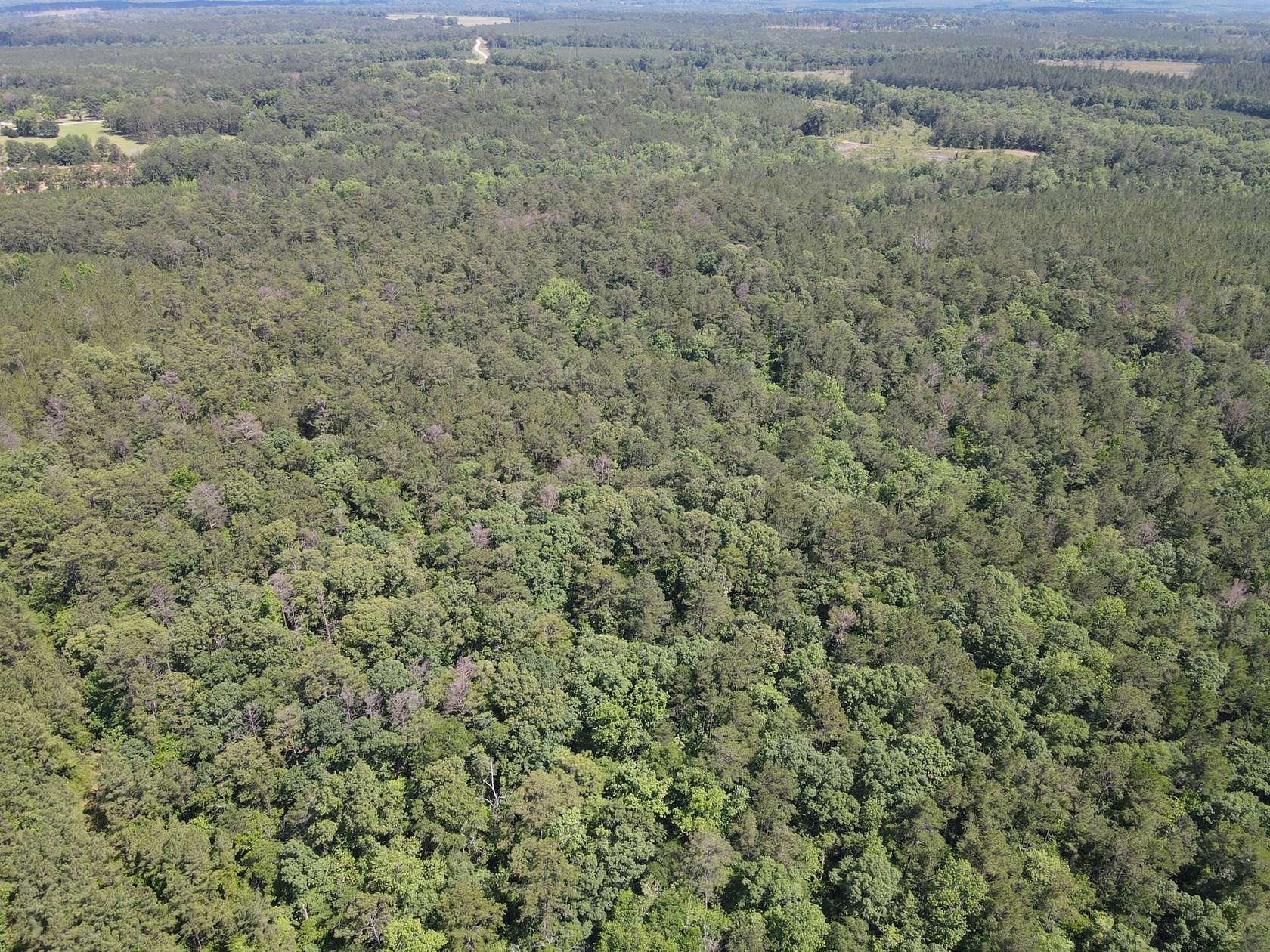 42 Acres of Land for Sale in Castleberry, Alabama