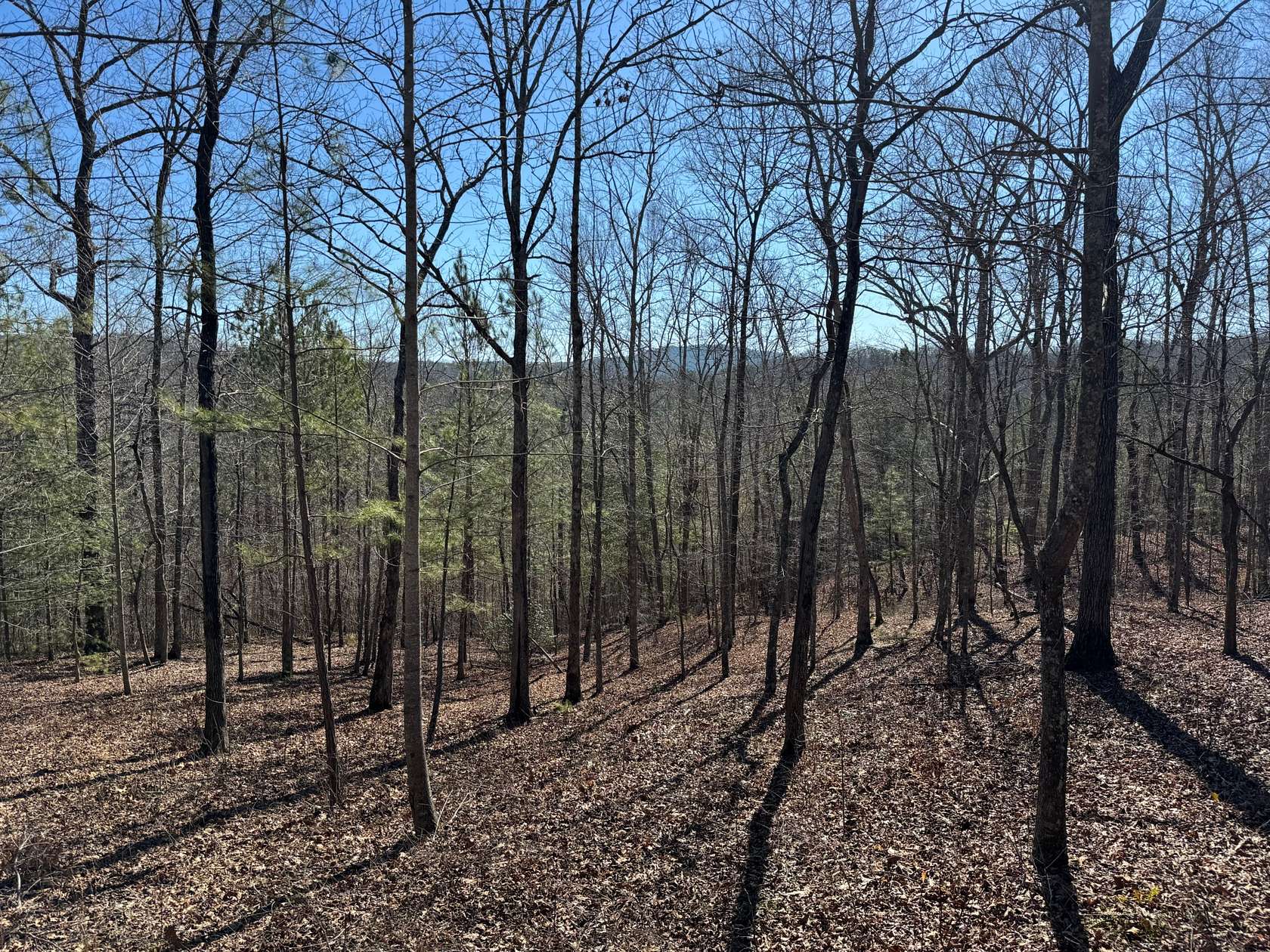 1.23 Acres of Residential Land for Sale in Ellijay, Georgia