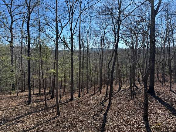 1.23 Acres of Residential Land for Sale in Ellijay, Georgia