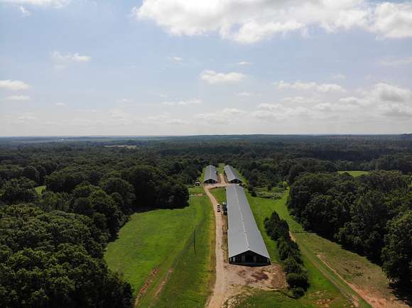 75 Acres of Agricultural Land with Home for Sale in Lexington, Georgia