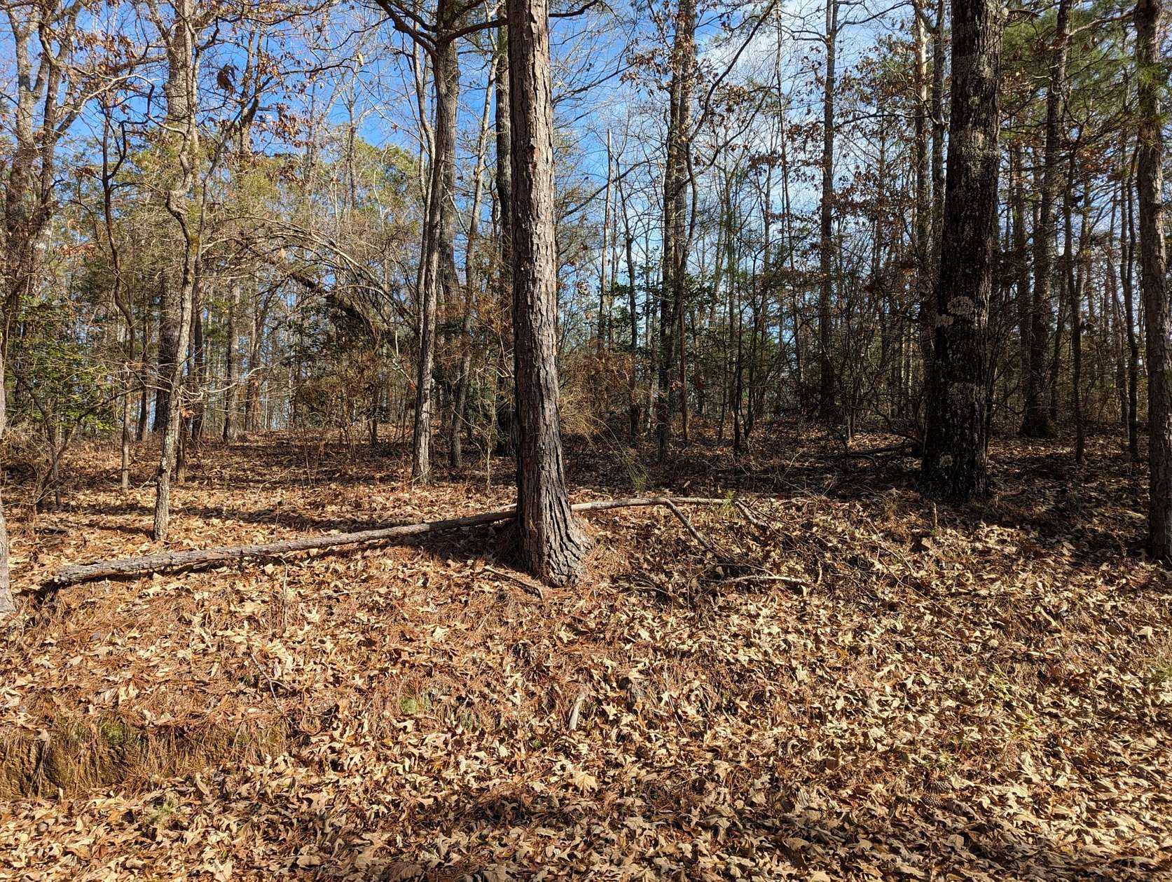 3 Acres of Residential Land for Sale in Eclectic, Alabama