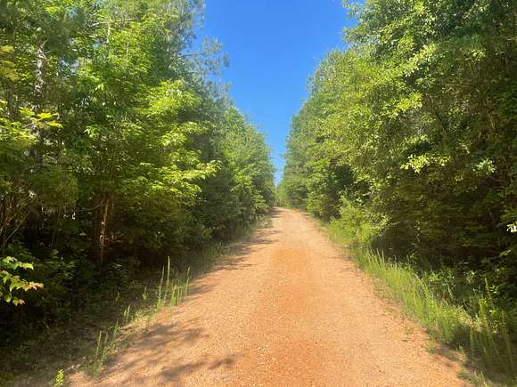 27 Acres of Land for Sale in Wadley, Alabama