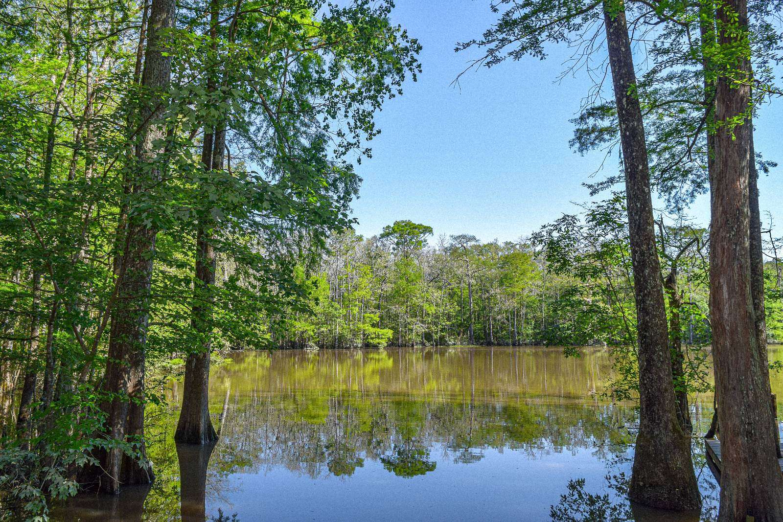 25 Acres of Recreational Land for Sale in Springfield, Louisiana