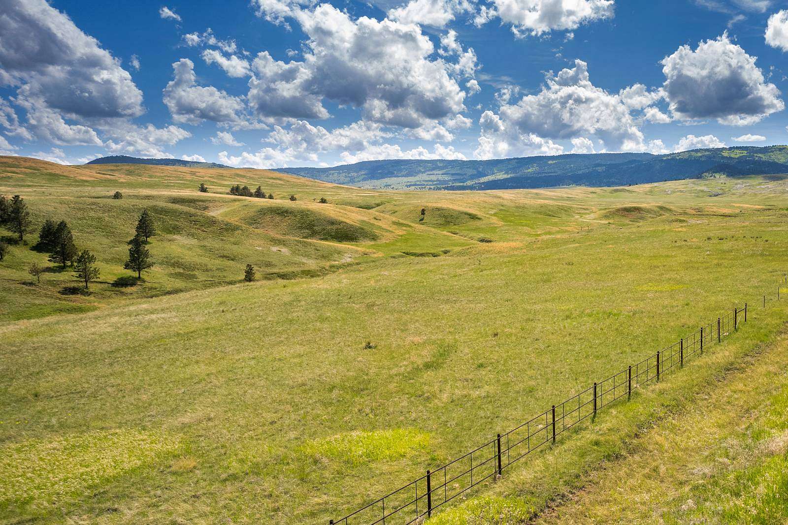 113.59 Acres of Recreational Land for Sale in Sundance, Wyoming