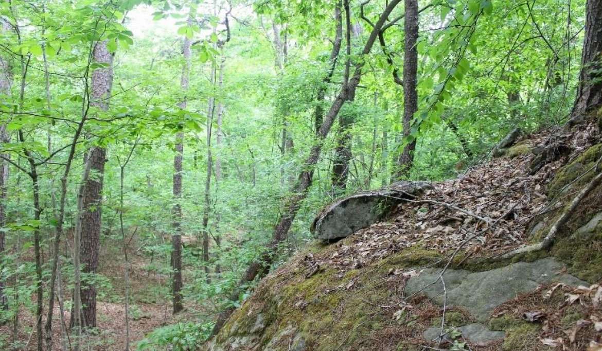 9.89 Acres of Residential Land for Sale in Fort Payne, Alabama