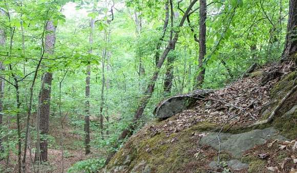 9.89 Acres of Residential Land for Sale in Fort Payne, Alabama