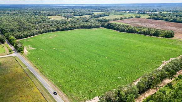 45.73 Acres of Recreational Land & Farm for Sale in Salley, South Carolina