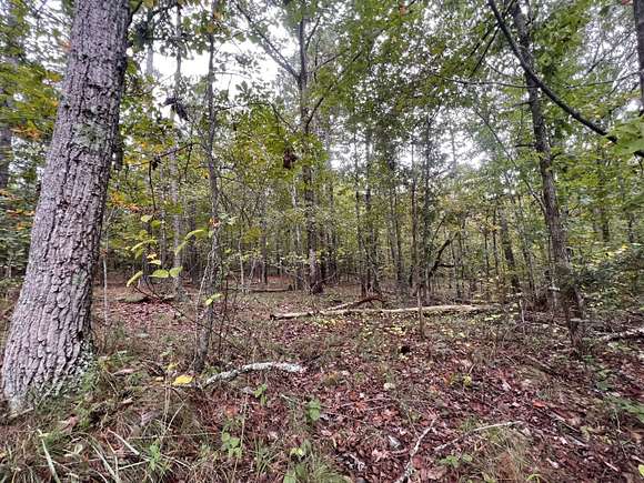 5.68 Acres of Residential Land for Sale in Mentone, Alabama