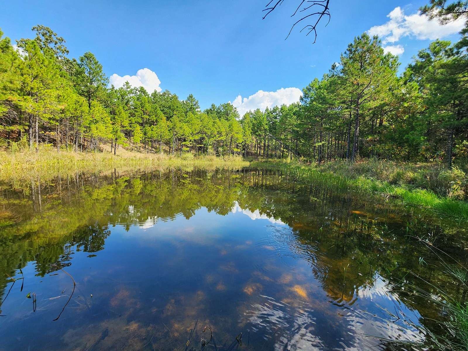 470 Acres of Recreational Land & Farm for Sale in Talihina, Oklahoma