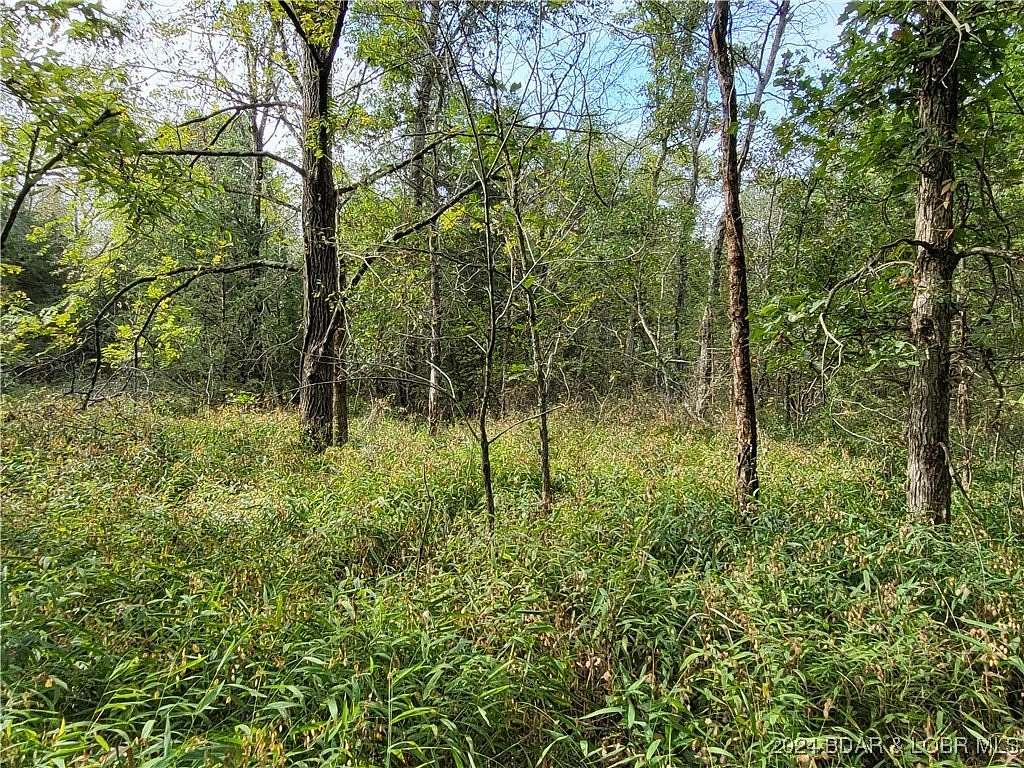 6.85 Acres of Land for Sale in Edwards, Missouri