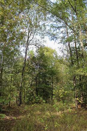 11.5 Acres of Recreational Land for Sale in Hatfield, Arkansas