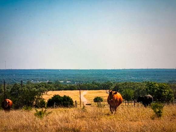 160 Acres of Land for Sale in Mountain Home, Texas