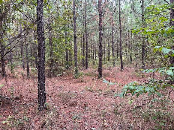 3.251 Acres of Land for Sale in Glenwood, Georgia