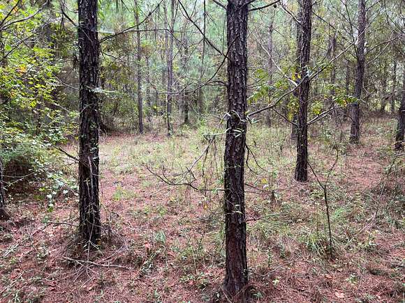 3.023 Acres of Land for Sale in Glenwood, Georgia